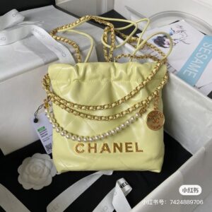 Chanel 22 medium 