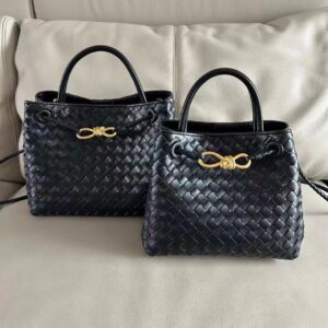 Bottega Veneta Andiamo Bag