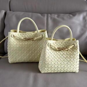 Bottega Veneta Andiamo Bag