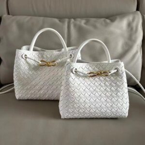 Bottega Veneta Andiamo Bag