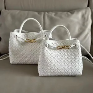 Bottega Veneta Andiamo Bag