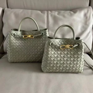 Bottega Veneta Andiamo Bag