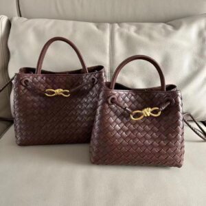 Bottega Veneta Andiamo Bag