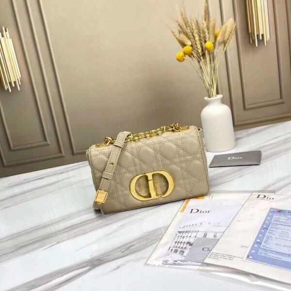 Dior Caro bag