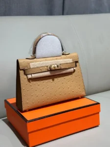 Hermès Kelly 25 Bag