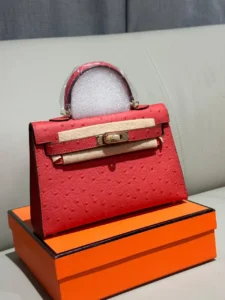 Hermès Kelly 25 Bag