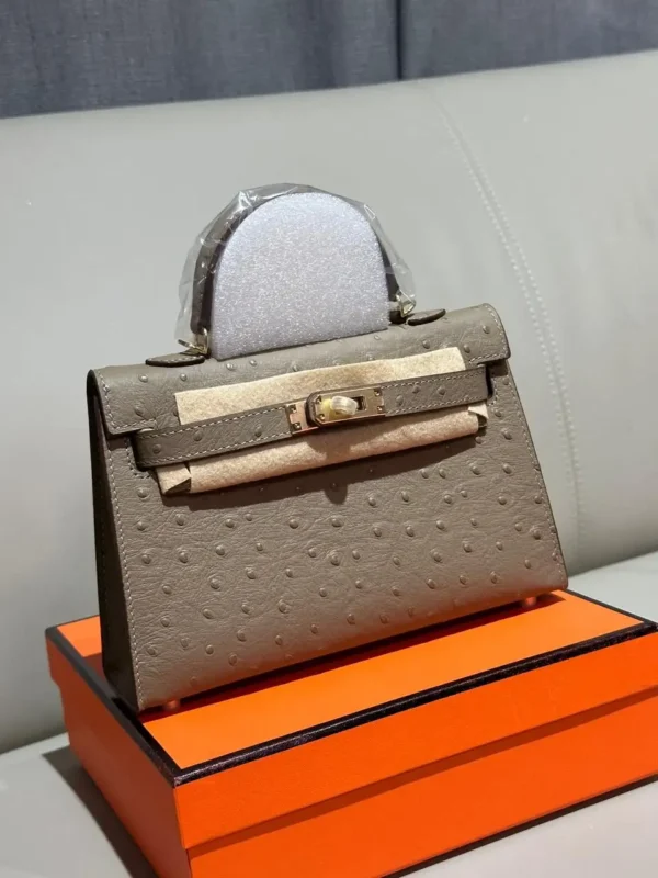 Hermès Kelly 25 Bag