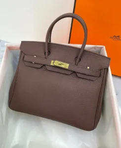 Hermès Birkin 25 Bag