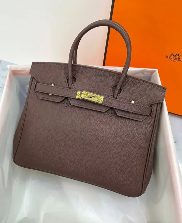 Hermès Birkin 25 Bag