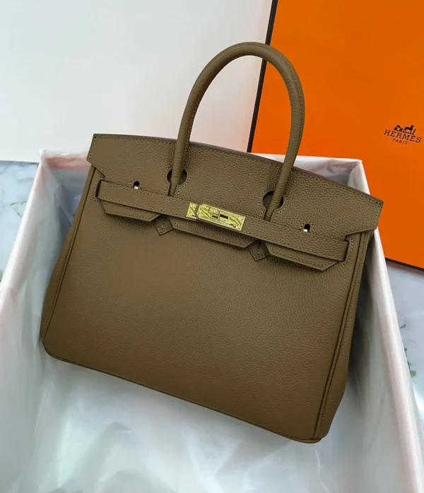 Hermès Birkin 25 Bag