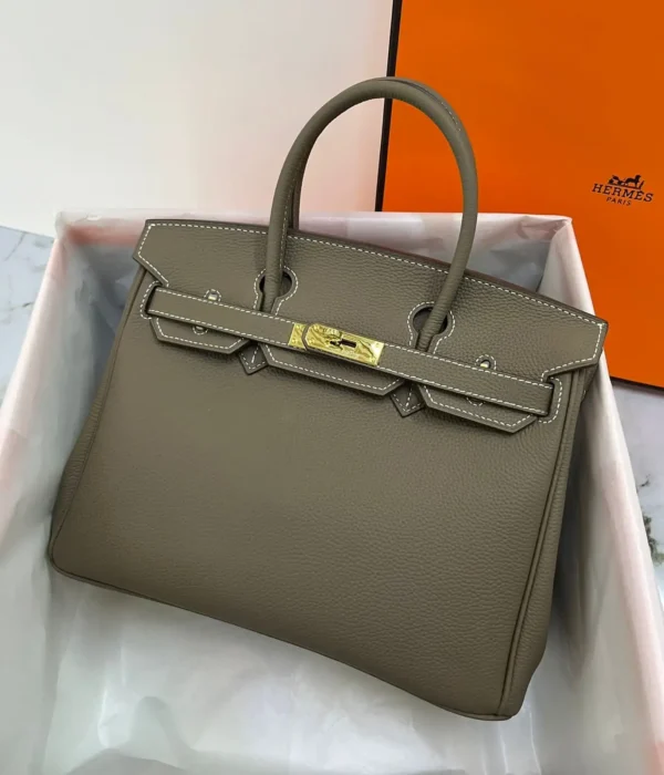 Hermès Birkin 25 Bag