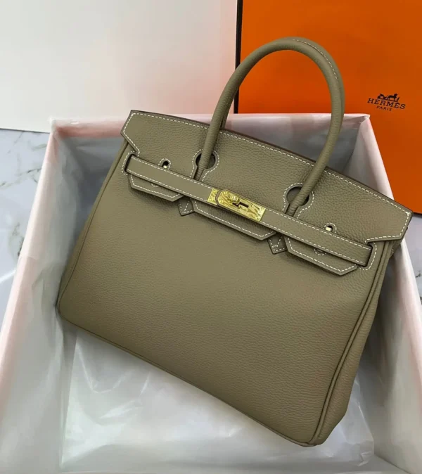 Hermès Birkin 25 Bag