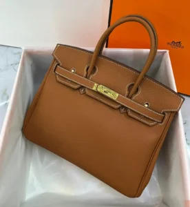 Hermès Birkin 25 Bag