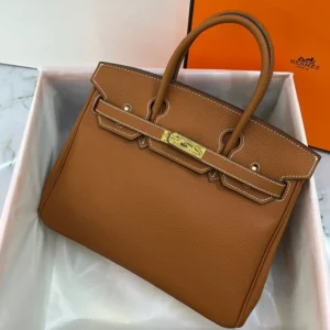 Hermès Birkin 25 Bag